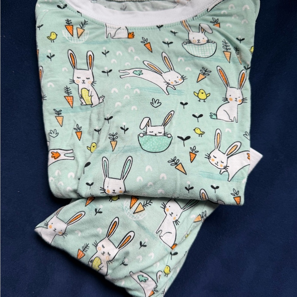 Little Sleepies Mint Bunny & Carrot Pajama Set